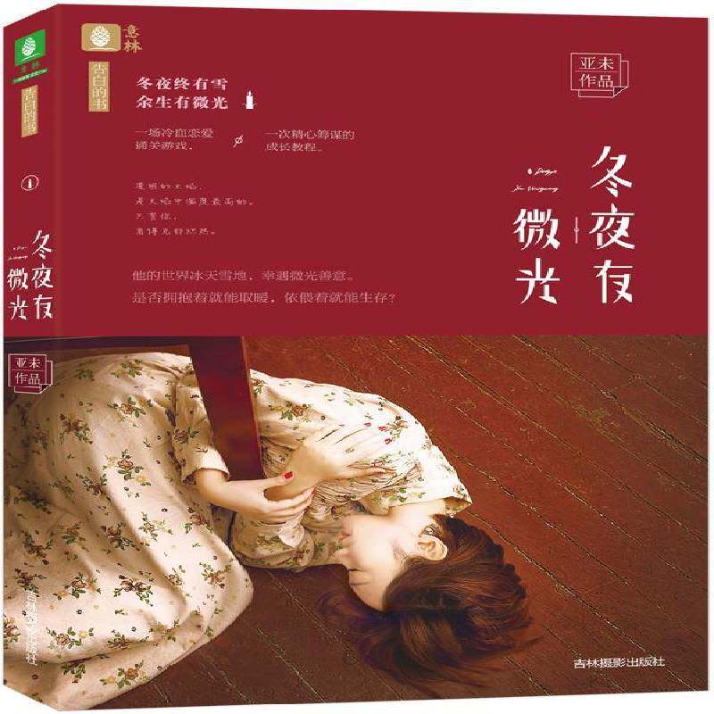 冬夜有微光亚未小说书籍