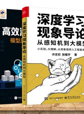 任选】深度学习现象导论 从感知机到大模型+高效深度学习 模型压缩与设计 神经网络的输出 参数演化规律及大语言模型推理技术书籍