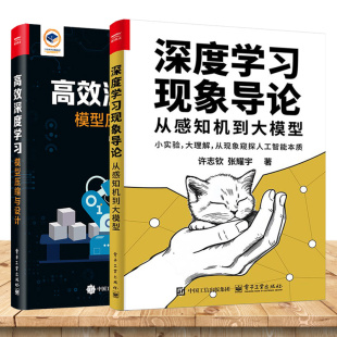 任选】深度学习现象导论 从感知机到大模型+高效深度学习 模型压缩与设计 神经网络的输出 参数演化规律及大语言模型推理技术书籍