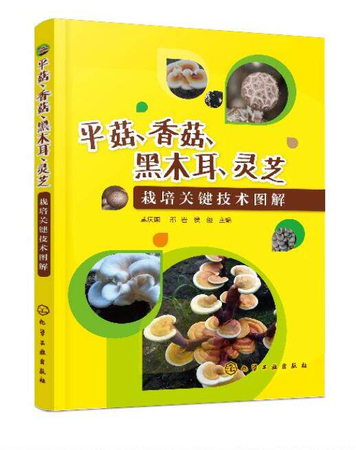 正版 平菇香菇黑木耳灵芝栽培关键技术图解 菌种制作病虫害保鲜加工技术 熟料墙式立体发酵料栽培 高棚层架温室立棒栽培 化