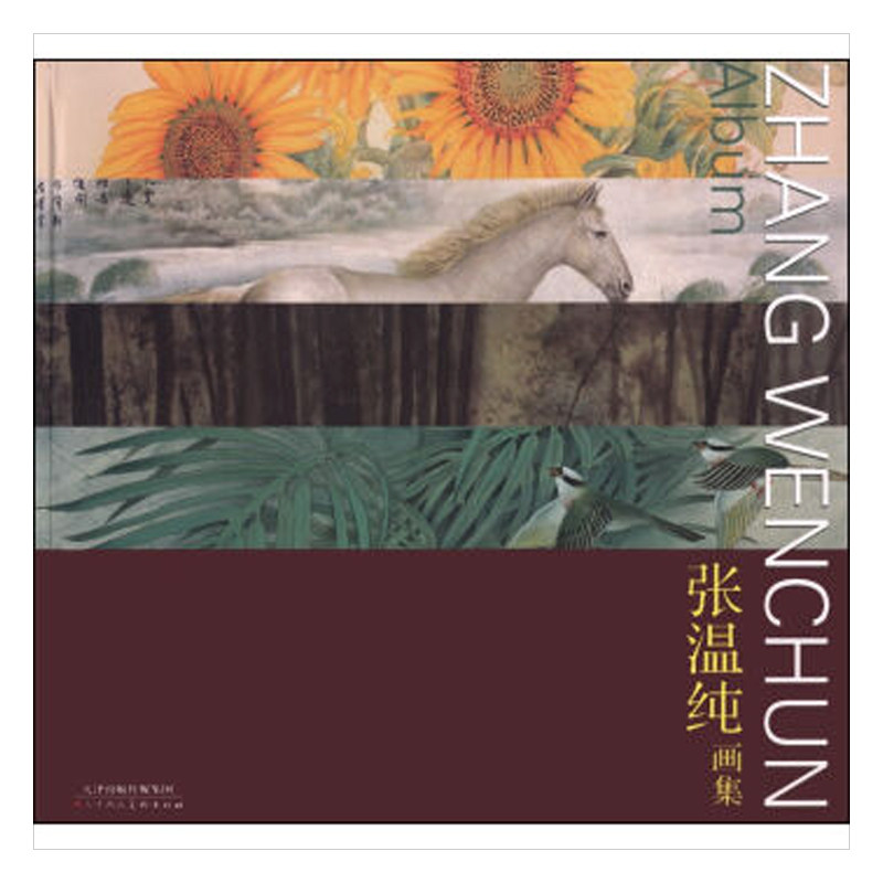 正版包邮 张温纯画集 书店 名家画集书籍 畅想畅销书