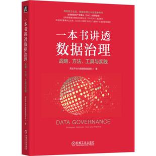 正版一本书讲透数据治理:战略、方法、工具与实践:strategies, methods, tools用友台与数据智能团队书店工业技术书籍 畅想畅销书