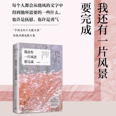 正版包邮 我还有一片风景要完成 张晓风著 一帙有所思二帙浪迹三帙看云起四帙是心事 中国现当代随笔书籍 博集天卷