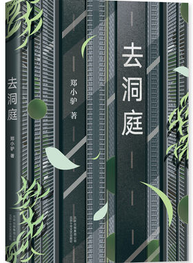 正版包邮 去洞庭 郑小驴 动物形状的烟火 蚁王 痒 你知道的太多了作者 阎连科韩少功李敬泽阿乙梁鸿