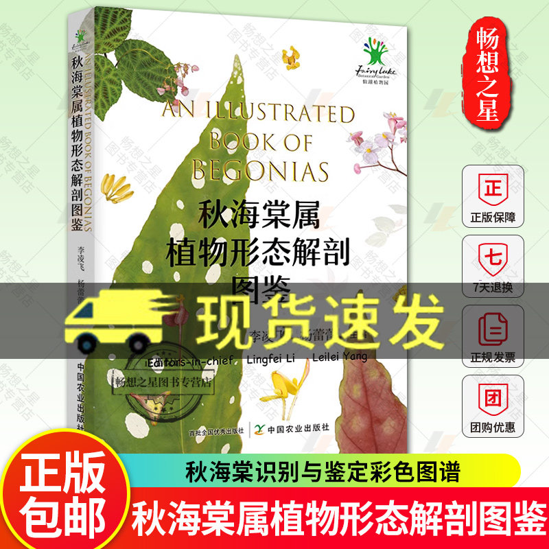 秋海棠属植物形态解剖图鉴 95种秋海棠属原生种类32个栽培品种植株整体形态茎叶花 秋海棠识别与鉴定彩色图谱 秋海棠书籍