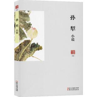 正版孙犁小说孙犁书店小说书籍 畅想畅销书