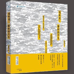 我听见，那时的月光侯泰而文学书籍