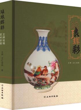正版珐琅辉彩 王辉珐琅艺术珍赏王辉书店艺术书籍 畅想畅销书