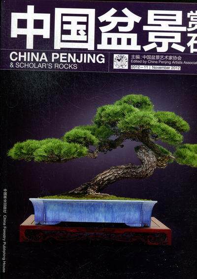 正常发货 正版包邮 中国盆景赏石 中国盆景艺术家协会 书店 工艺美术制品工业书籍 畅想畅销书