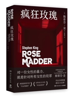 探索人性 美国长篇小说外国文学小说书籍正版 疯狂玫瑰 之作 反家暴主题经典 幽暗 惊悚窒息 扭曲癫狂 斯蒂芬金 博集天卷