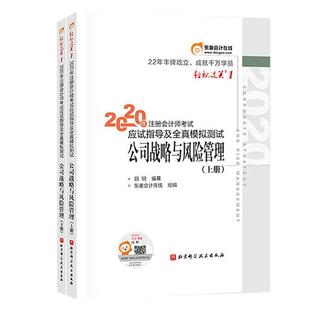 正版 畅想畅销书 公司战略与风险管理田明书店管理书籍