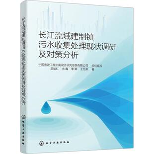 正版长江流域建制镇污水收集处理现状调研及对策分析吴瑜红书店自然科学书籍 畅想畅销书