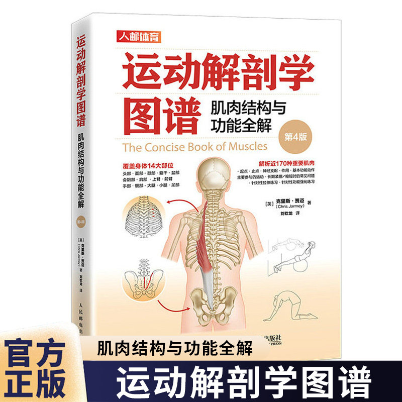 运动解剖学图谱 肌肉结构与功能全解 第4版 第四版 运动解刨学书 肌肉的位置结构运动功能与相关损伤全解运动健身指南