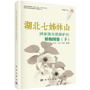 正版包邮 湖北七姊妹山自然保护区植物图鉴：下/武陵山区自然保护区生物图鉴丛 刘虹，覃瑞，熊坤赤著 科学出版社 植物学 自然科