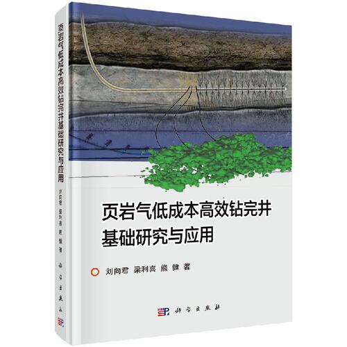 正版包邮 页岩气低成本钻完井基础研究与应用 刘向君，梁利喜，熊健著 科学出版社 钻井工程书籍 石油/天然气工业9787030529893 - 封面