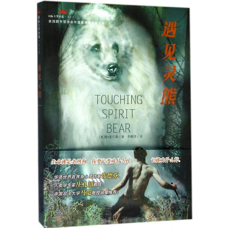 正版包邮 遇见灵熊 麦可森  儿童课外书籍9-15岁 阅读  小学生课外阅读书籍一二三四五六年级儿童小说书籍 新蕾出版社xj