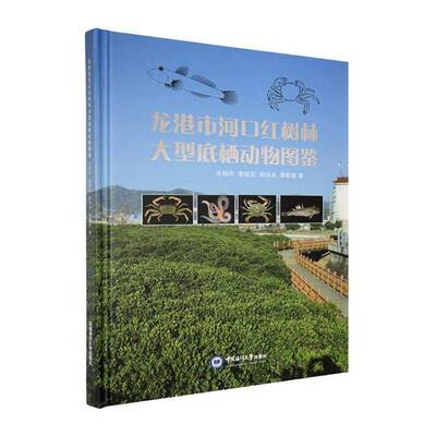 龙港市河口红树林大型底栖动物图鉴水柏年自然科学书籍