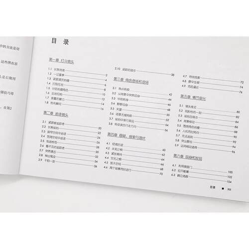 正版大师镜头:卷:Vol 1:低成本拍大片的100个技巧:100 advanced camera techniques to get an expensive书店艺术书籍 畅想畅销书