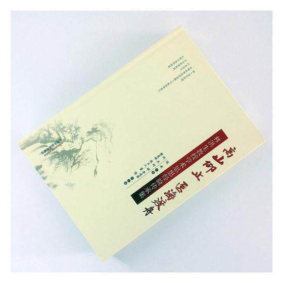 正版包邮 高山仰止 医海渡舟:林洪生教授学术思想经验传承集张英书店医药卫生书籍 畅想畅销书