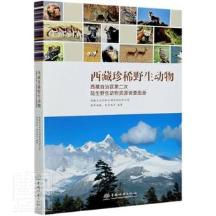 包邮 者_普布顿珠朱雪林责_张衍辉葛书店自然科学书籍 野生动物 精 畅想畅销书 自治区次陆生野生动物资源调查图册 正版