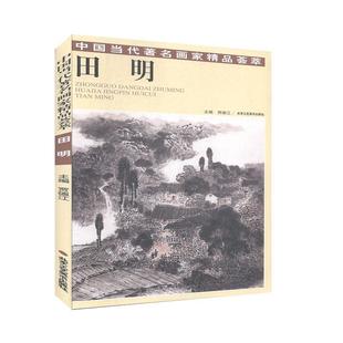 书籍 美术 中国当代画家精品荟萃·田明 艺术