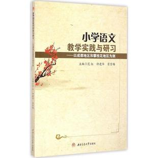 畅想畅销书 以成都地区和攀枝花地区为例范红书店中小学教辅书籍 正版 小学语文教学实践与研