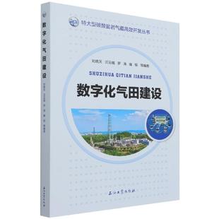 数字化气田建设刘晓天书店工业技术书籍 正版 畅想畅销书