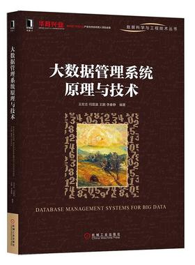 正版包邮 大数据管理系统原理与技术 王宏志 王鹏 关系数据库管理系统搭建指南 数据仓库Hive Hbase Redies 数据模型集成开发教材