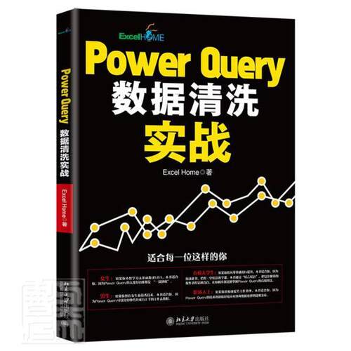 正版包邮 Power Query数据清洗实战  书店计算机与网络 书籍 畅想畅销书
