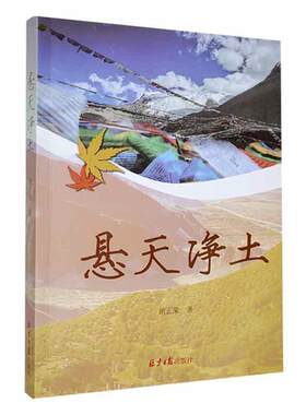 正版悬天净土胡正荣书店小说书籍 畅想畅销书