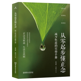 减少焦虑 实修手册 张海敏 正版 正念减压正念冥想认知行为疗法 从零起步懂正念 弭继文 告别焦虑抑郁自信疗愈心理学书籍 新书