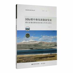 相关多重政策机制 相互作用与影响 许光清 正版 社9787565452369 国际碳中和及新能源发展 东北财经大学出版 畅想之星 包邮