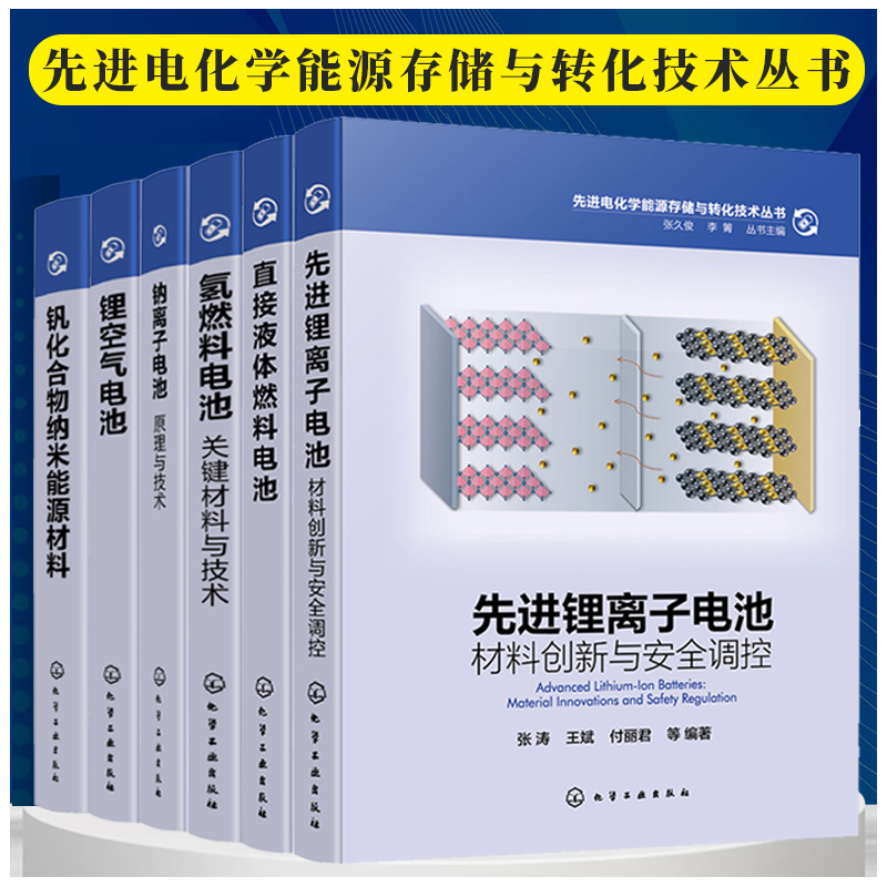 任选 先进电化学能源存储与转化技术丛书先进锂离子电池直接液体燃料电池氢燃料电池钠离子电池锂空气电池钒化合物纳米能源材料