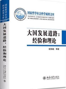 正版包邮 大国发展道路：经验和理论欧阳峣等书店经济书籍 畅想畅销书