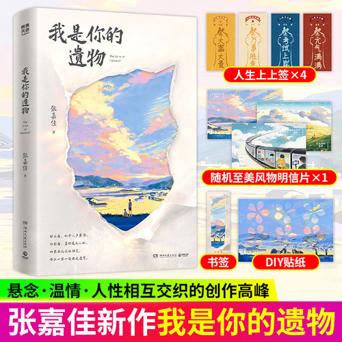 我是你的遗物 张嘉佳2026年全新小说 时隔5年写作风格升维突破之作 云边有个小卖部天堂旅行团让我留在你身边从你的全世界路过