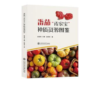 正版包邮 番茄“传家宝”种质资源图鉴 赵凌侠 农业、林业书籍 上海交通大学出版社9787313299673 畅想之星图书专营店