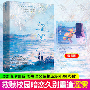 涩雾 槐宋著 救赎治愈向的非典型姐狗cp 温柔清冷姐系×偏执沉闷小狗的青春成长故事 在最好的时机里重新相遇小说书籍 正版大鱼