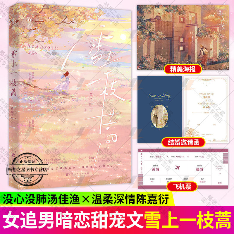 随书附海报+飞机票+邀请函】雪上一枝蒿 黄鱼听雷 没心没肺女主和温柔深情男主 都市情缘 天之骄子姐弟恋 破镜重圆文女追男 - 实物图