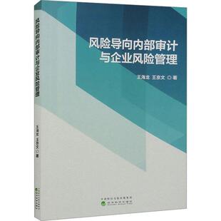 正版 畅想畅销书 风险导向内部审计与企业风险管理王海龙书店经济书籍