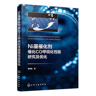 Ni基催化剂催化CO甲烷化性能研究及优化 智翠梅 煤炭资源清洁 低碳和开发利用技术指导书 煤制天然气核心技术参考书籍Ni基催化