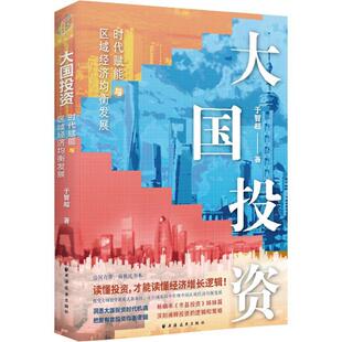 畅想畅销书 时代赋能与区域经济均衡发展于智超书店经济书籍 正版 大国投资