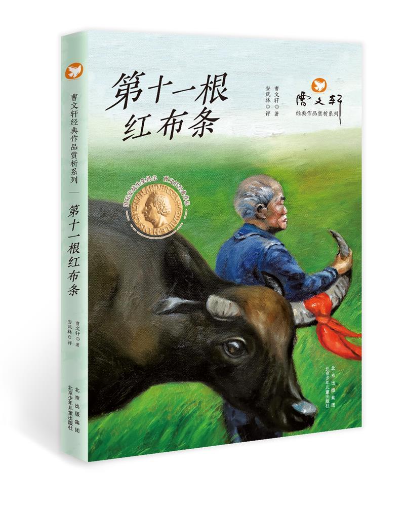 第十一根红布条曹文轩经典作品赏析系列儿童文学经典小说故事三四五年级小学生课外阅读书籍成长校园 8-10-12岁故事书