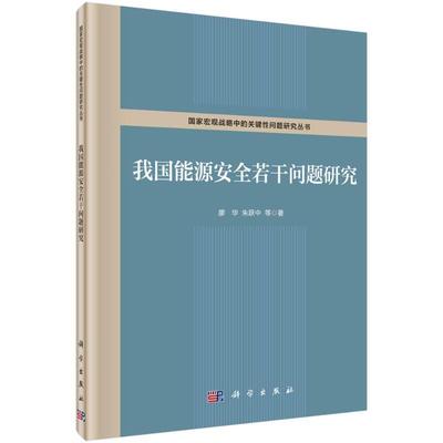 正版我国能源若干问题研究廖华书店工业技术书籍 畅想畅销书