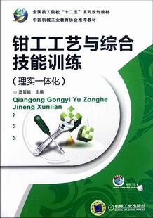 正版包邮 钳工工艺与综合技能训练-理实一体化 汪哲能 书店 钳工工艺与装配工艺书籍 畅想畅销书
