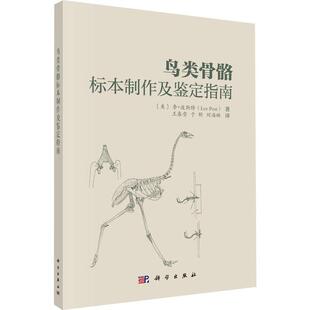 正版鸟类骨骼标本制作与鉴定指南李·波斯特书店自然科学书籍 畅想畅销书