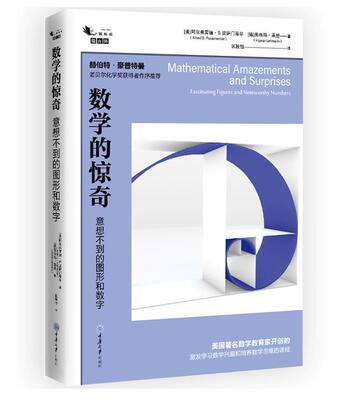 正版数学的惊奇:意想不到的图形和数字:fascinating figures and noteworthy阿尔弗雷德·波萨门蒂尓书店自然科学书籍 畅想畅销书