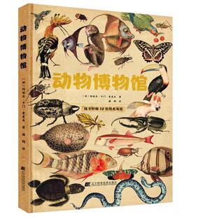 正版动物博物馆(精)玛丽亚·卡门·索里亚书店自然科学书籍 畅想畅销书