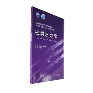正版 畅想畅销书 桩墩水力学喻国良书店交通运输书籍