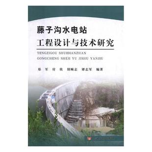 水电站工程书籍 书店 藤子沟水电站工程设计与技术研究 正版 畅想畅销书 费 水能利用 郑军 免邮