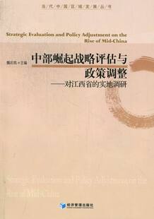 正版包邮 中部崛起战略评估与政策调整:对江西省的实地调研 魏后凯 书店 社会经济体制与改革书籍 畅想畅销书